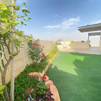 חדשה ולוהטת בבזלת במעלה אדומים